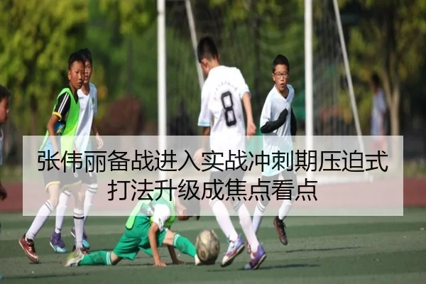 张伟丽备战进入实战冲刺期压迫式打法升级成焦点看点